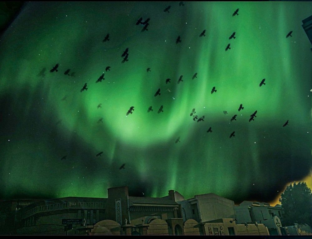 Photograph by Ahsan Ishtiaq