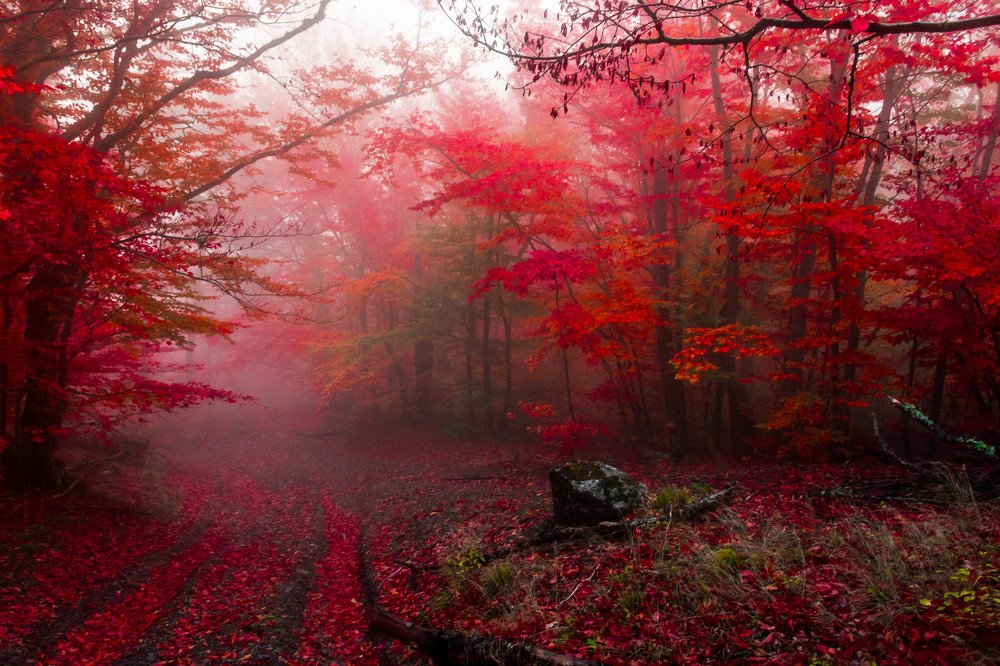 Photograph by Андрей Муравин