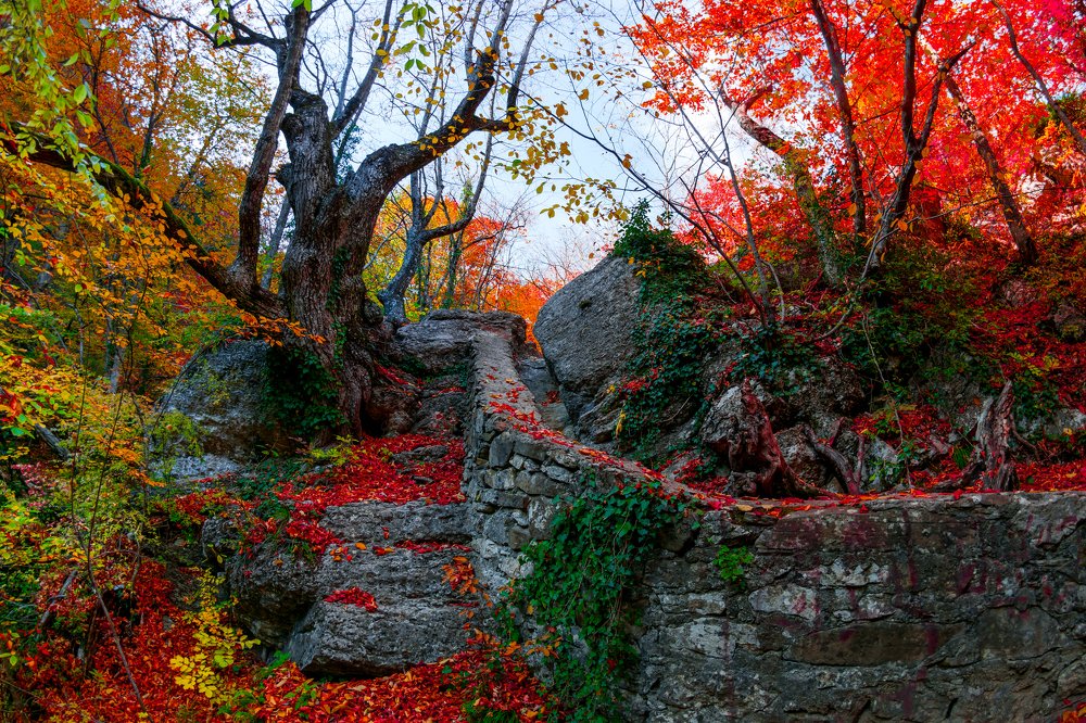 Photograph by Андрей Муравин