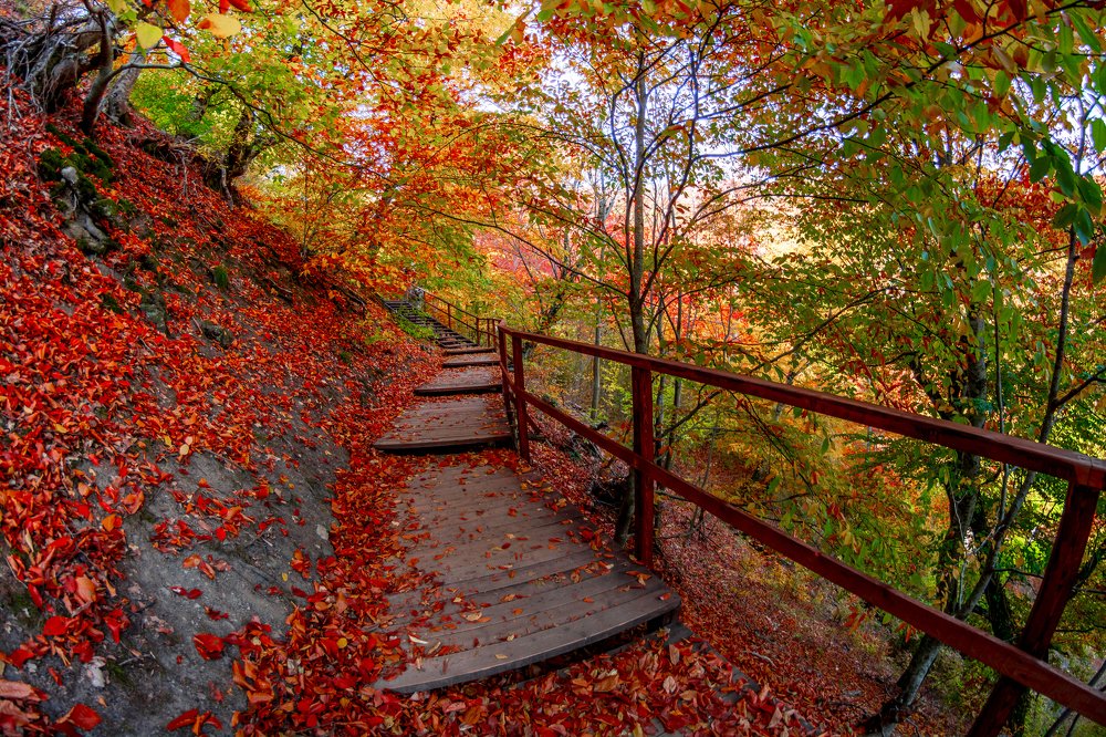 Photograph by Андрей Муравин