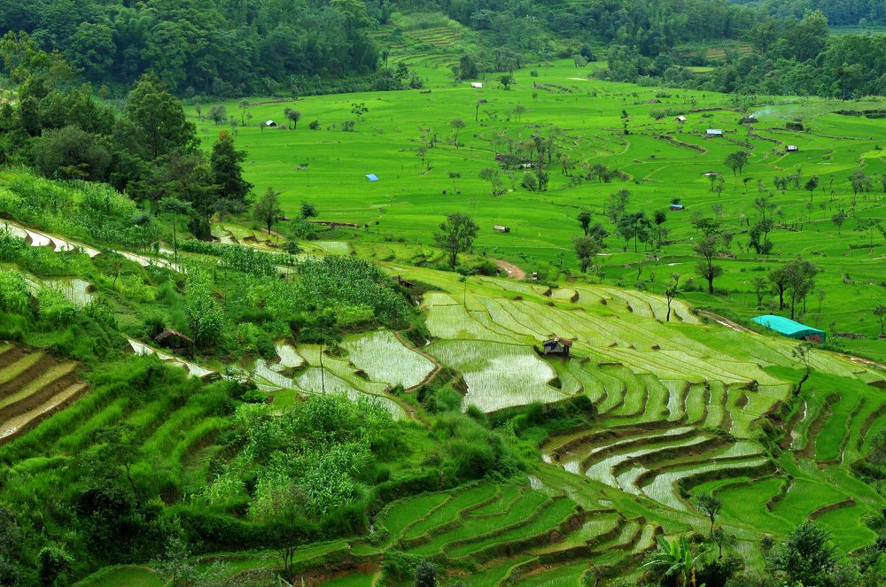 Photograph by Samsul Huda Patgiri