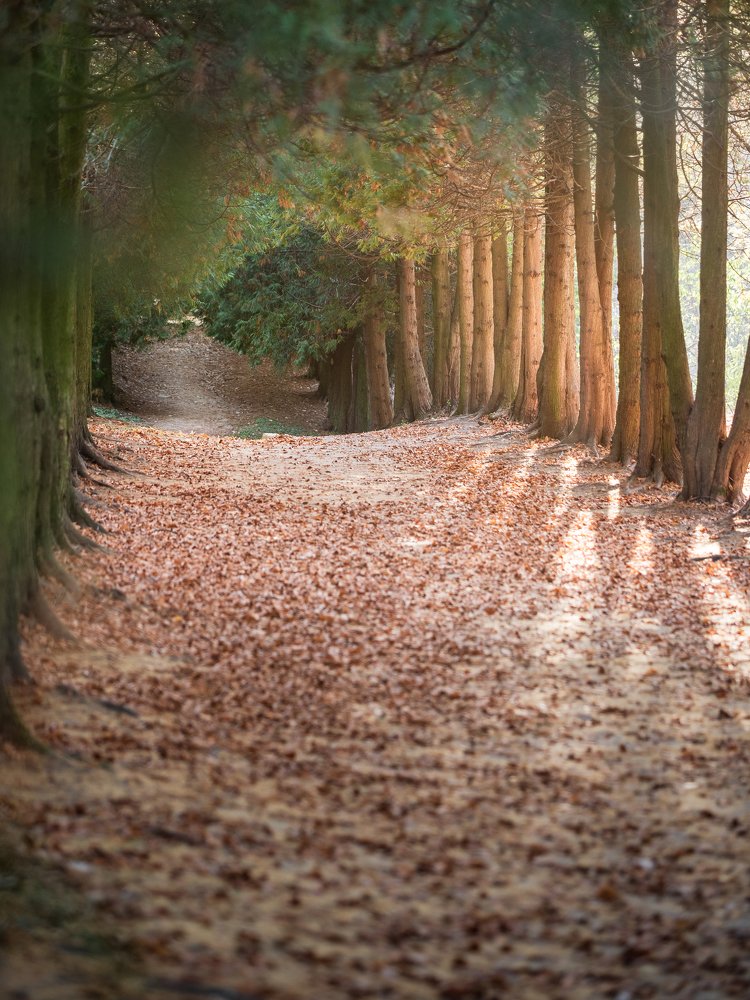 Фотография автора Андрей Барбиер