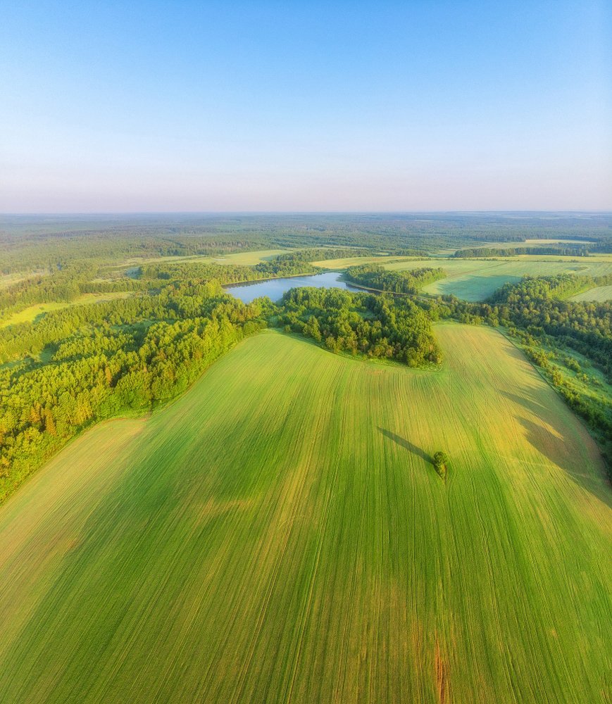 Photograph by Устюжанин Михаил