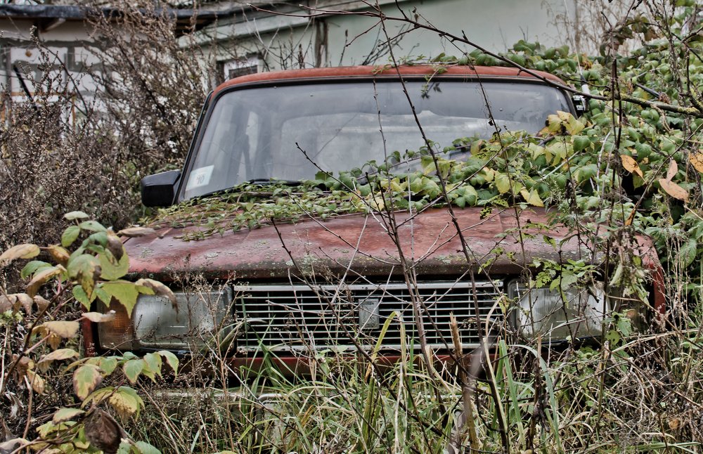 Photograph by Дмитрий Жижин