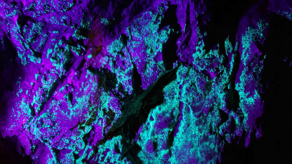 Фотография автора Эрнст Антонов