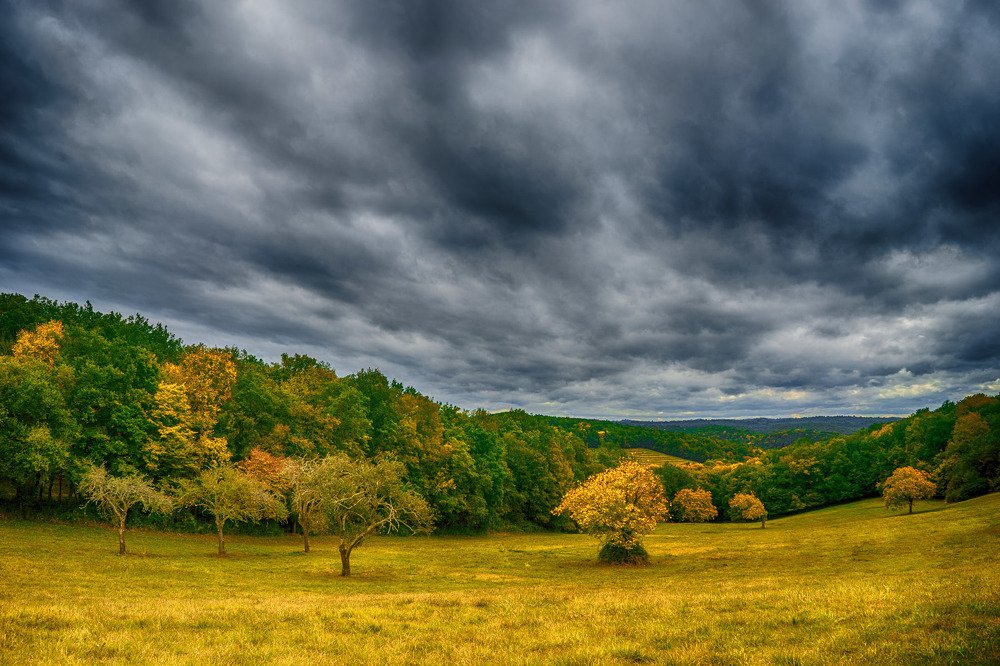 Фотография автора David Solodar