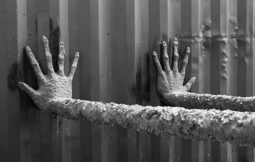 Photograph by Alexandr