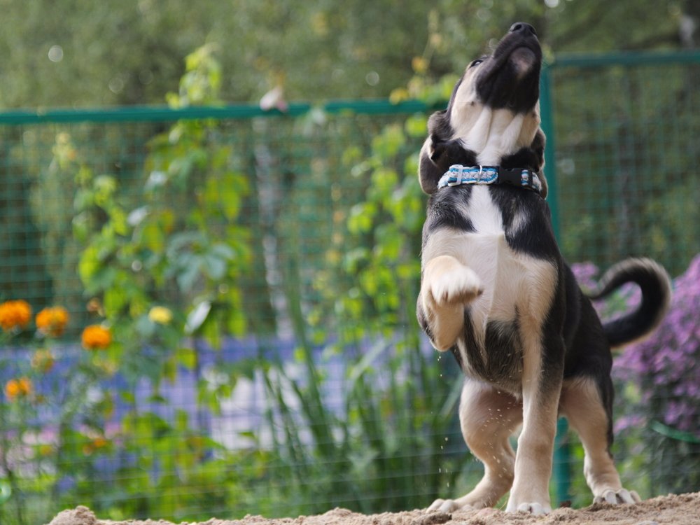 Photograph by Ольга Корчагина