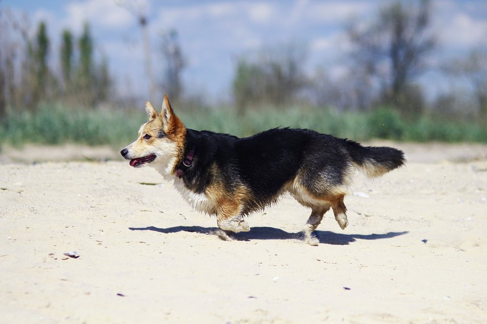 Photograph by Княжинская Александра