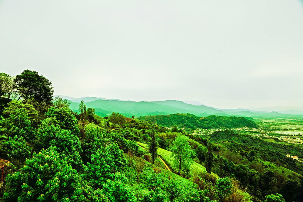 Photograph by tamaddon homayoun