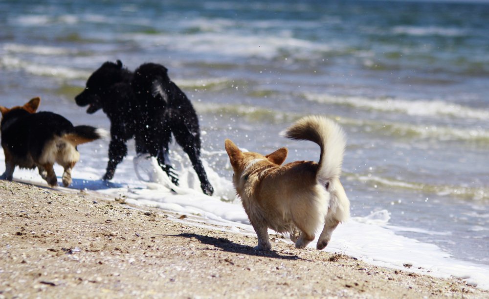 Photograph by Княжинская Александра
