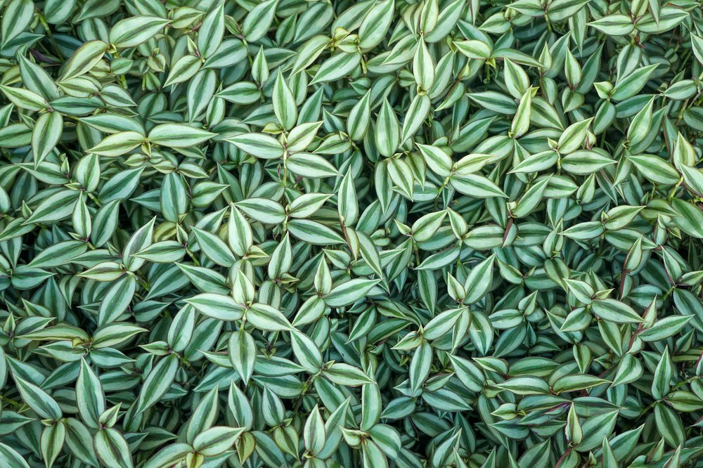 Photograph by Юрий Заставный