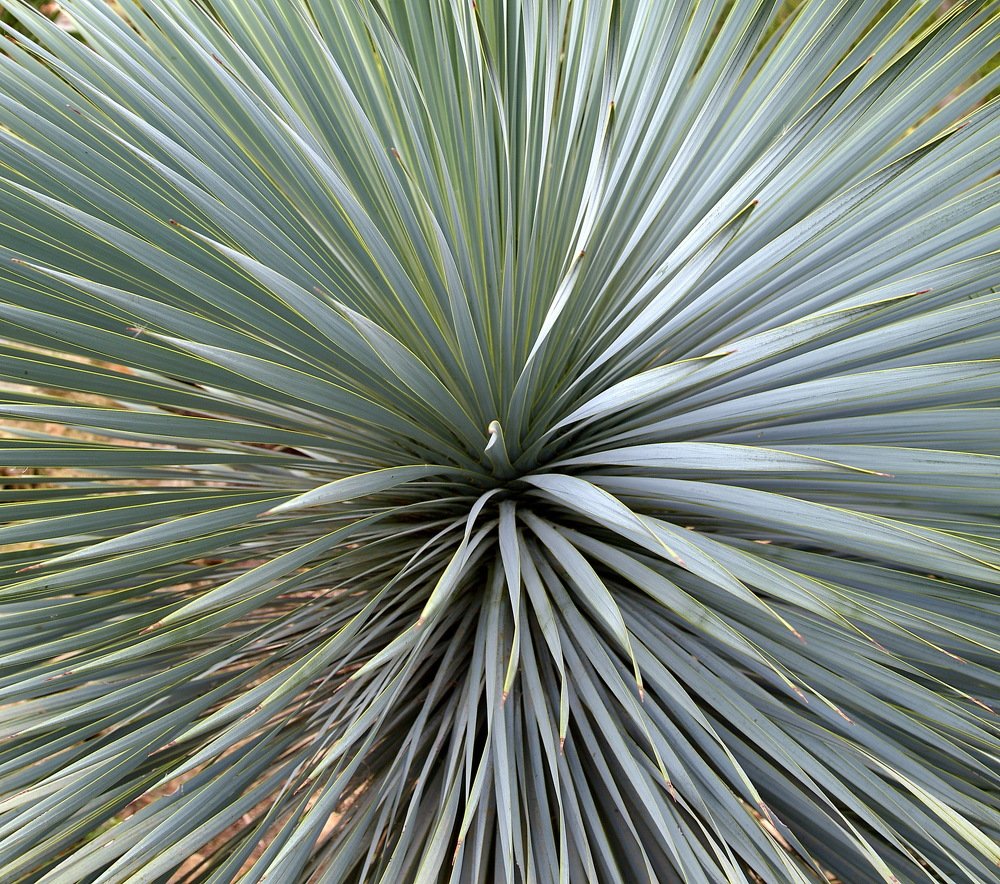 Photograph by Александр Столяров