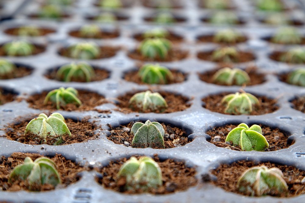 Photograph by Александр Столяров