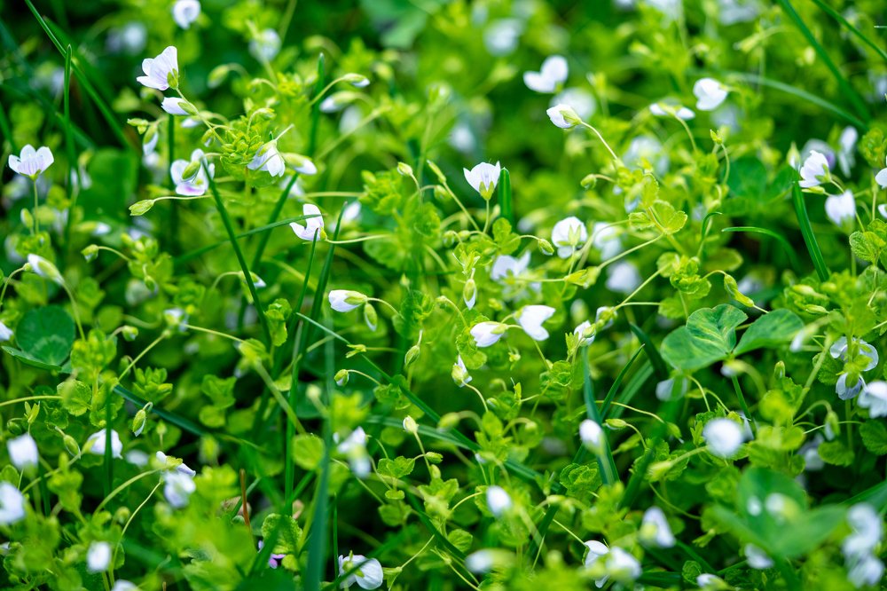 Photograph by Юрий Заставный