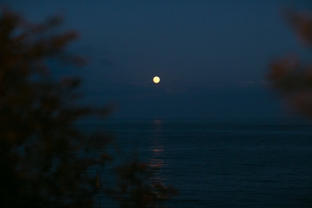 Photograph by Марина Левицкая