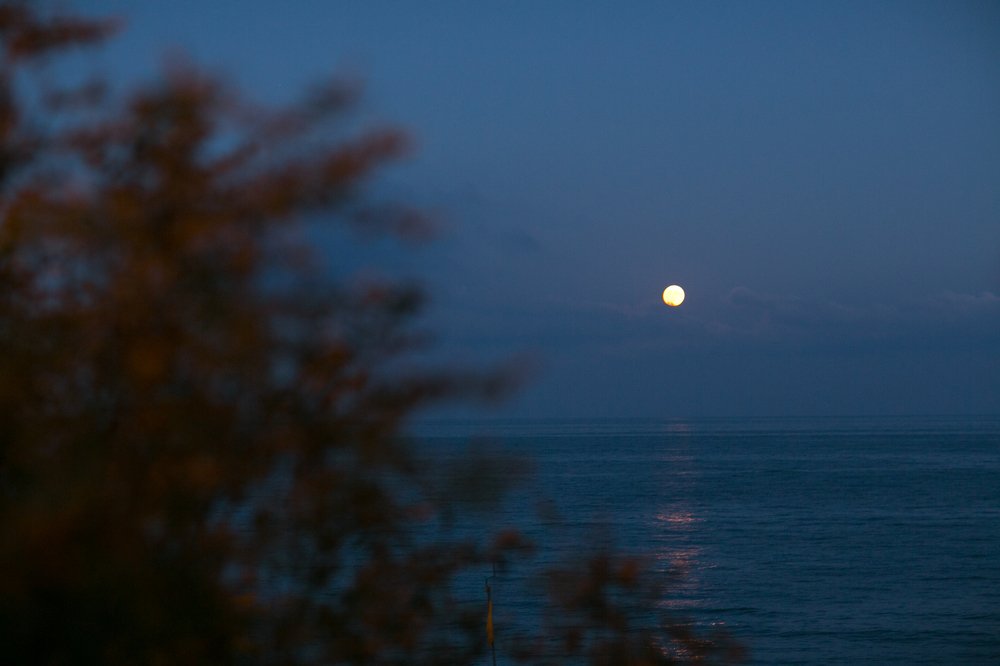 Photograph by Марина Левицкая