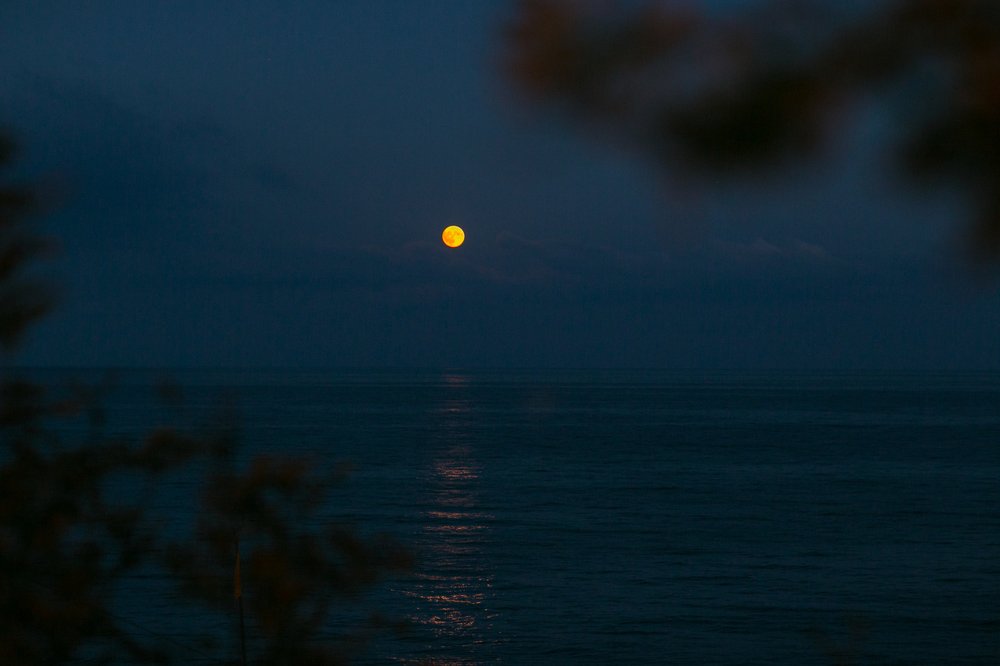 Photograph by Марина Левицкая