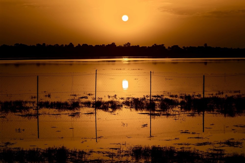 Photograph by Nyonika Rawal