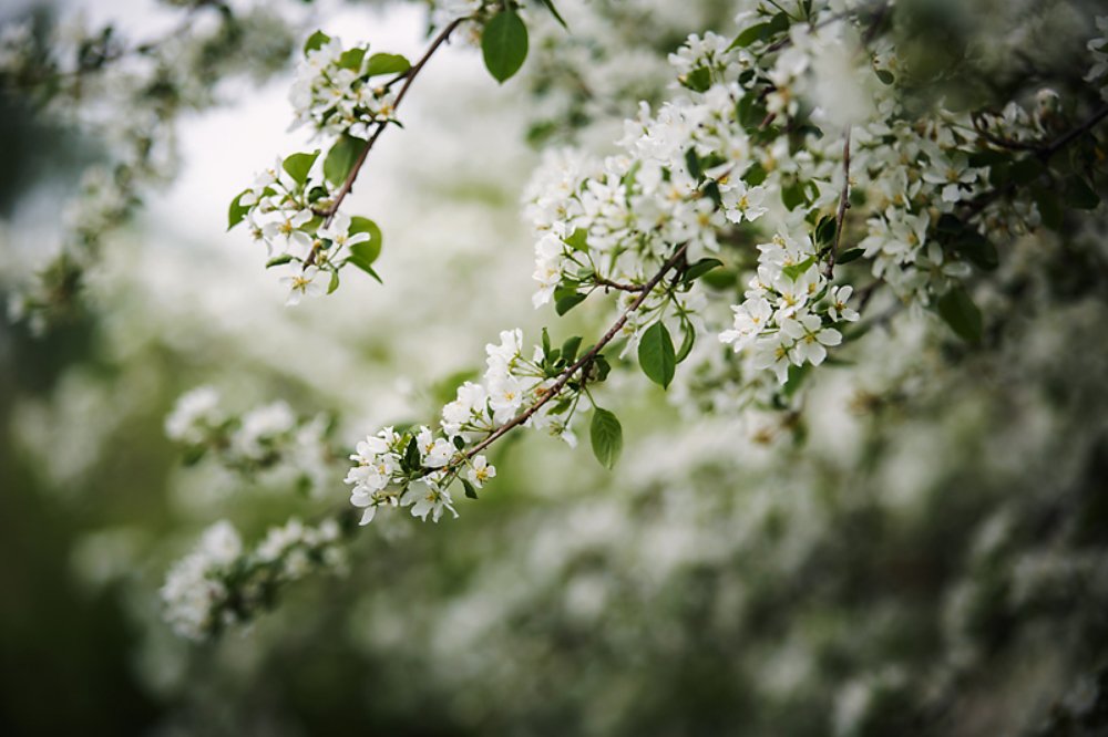 Photograph by Марина Левицкая