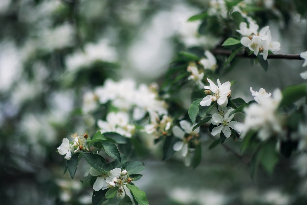 Photograph by Марина Левицкая