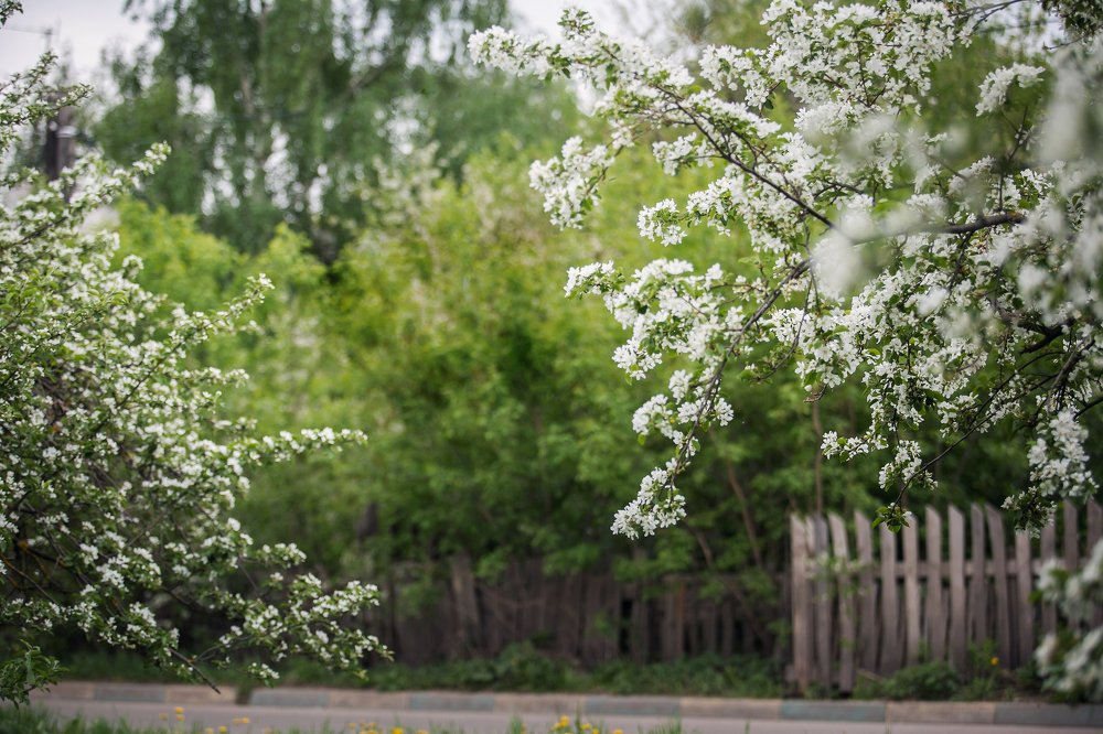 Photograph by Марина Левицкая