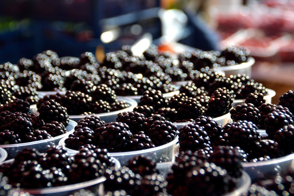 Ежевичный блеск