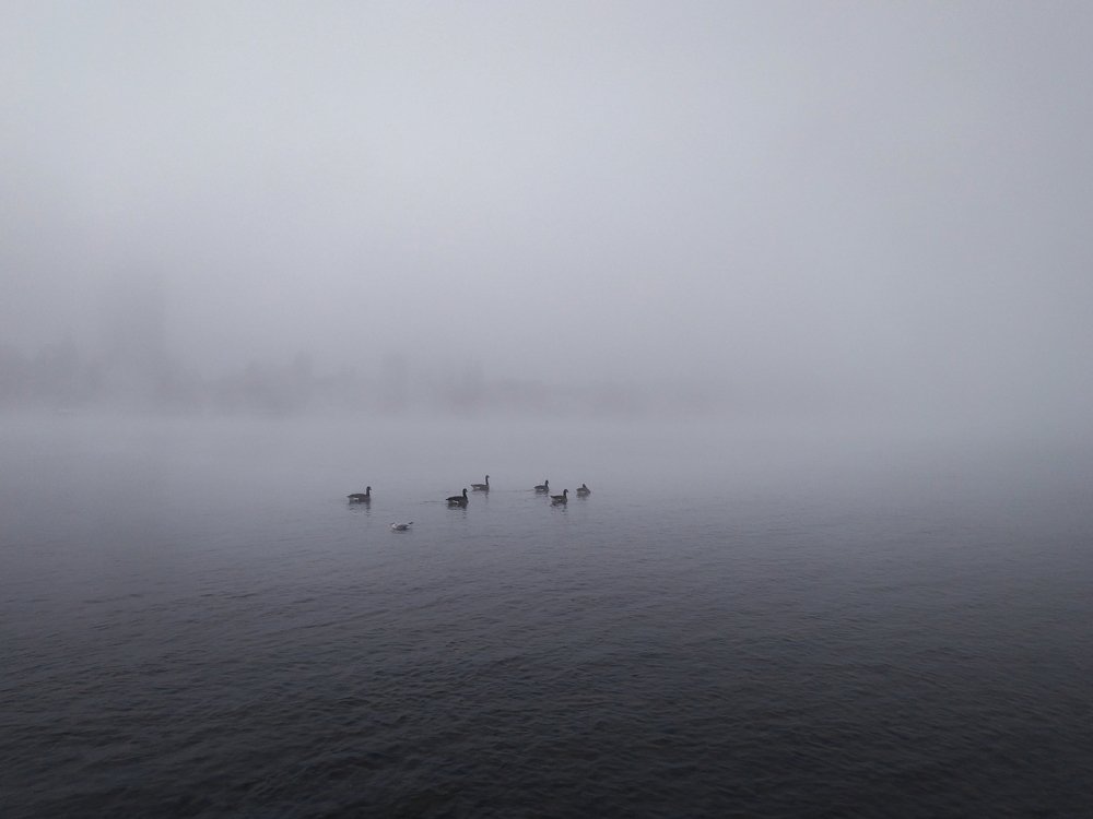 Fogy sky near the Reihn