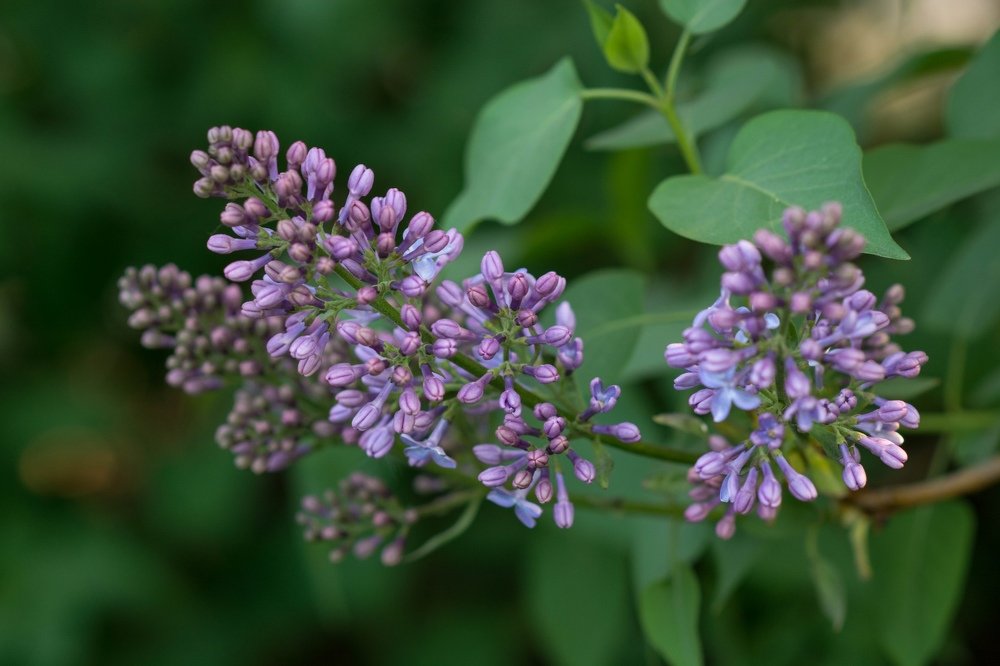 Photograph by Анастасия Коваль