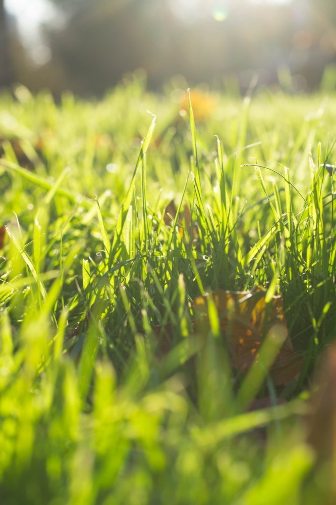 Photograph by Анастасия Коваль