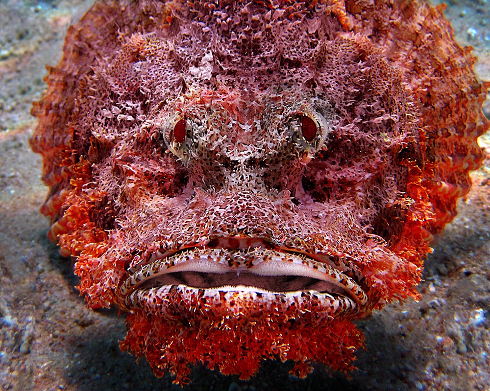 Photograph by Наталия Корзина