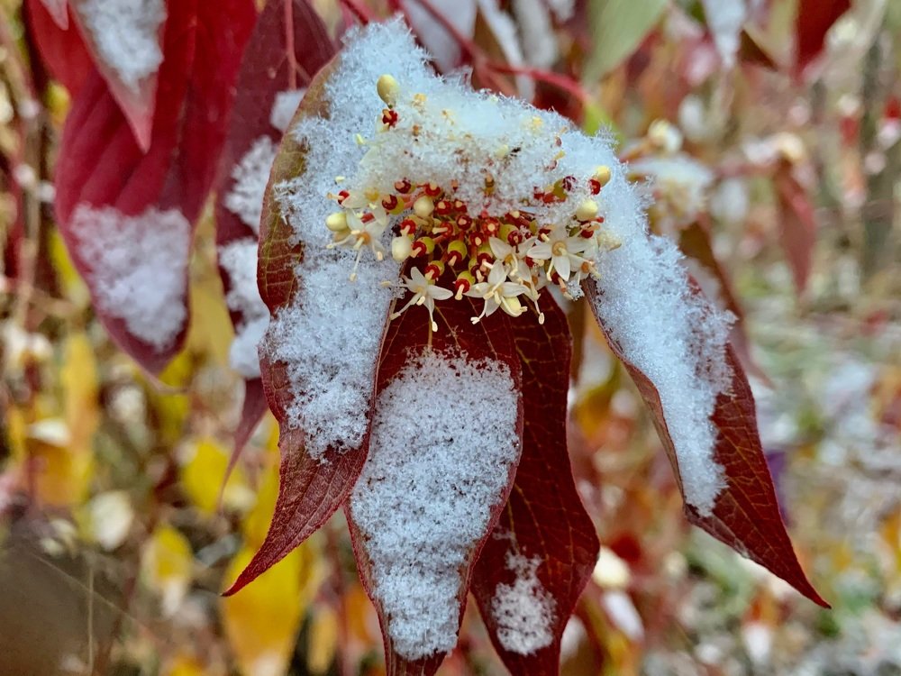 Photograph by Светлана Хохлова