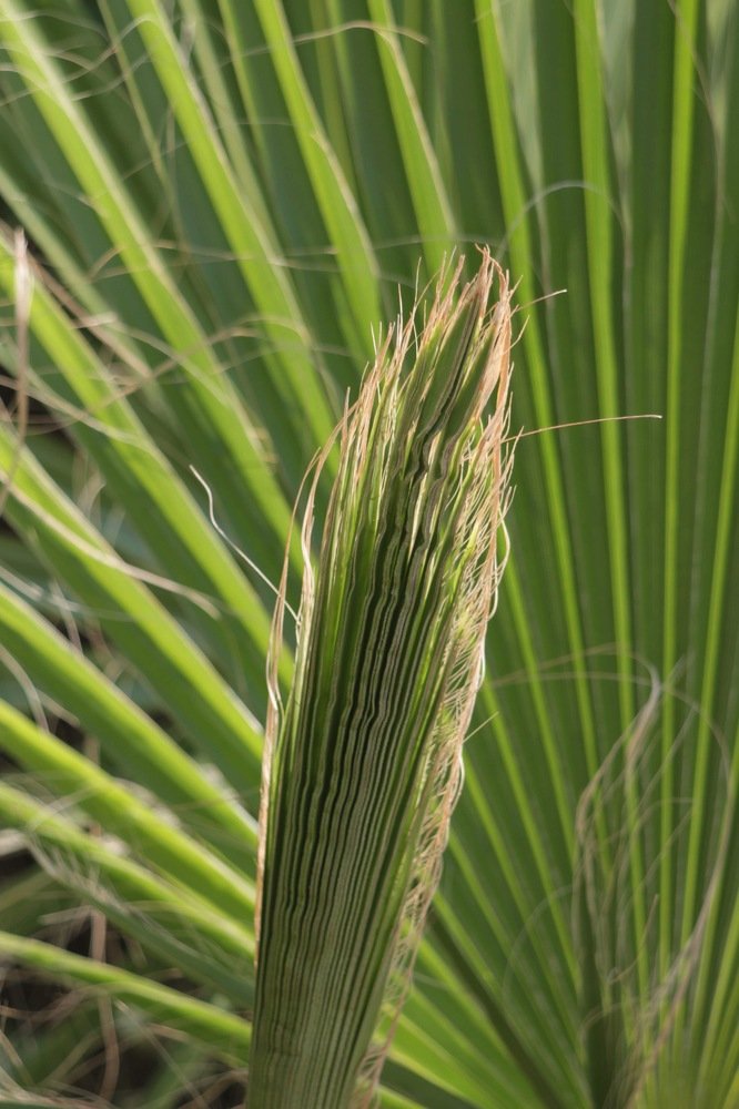 Photograph by Елена Хорошильцева