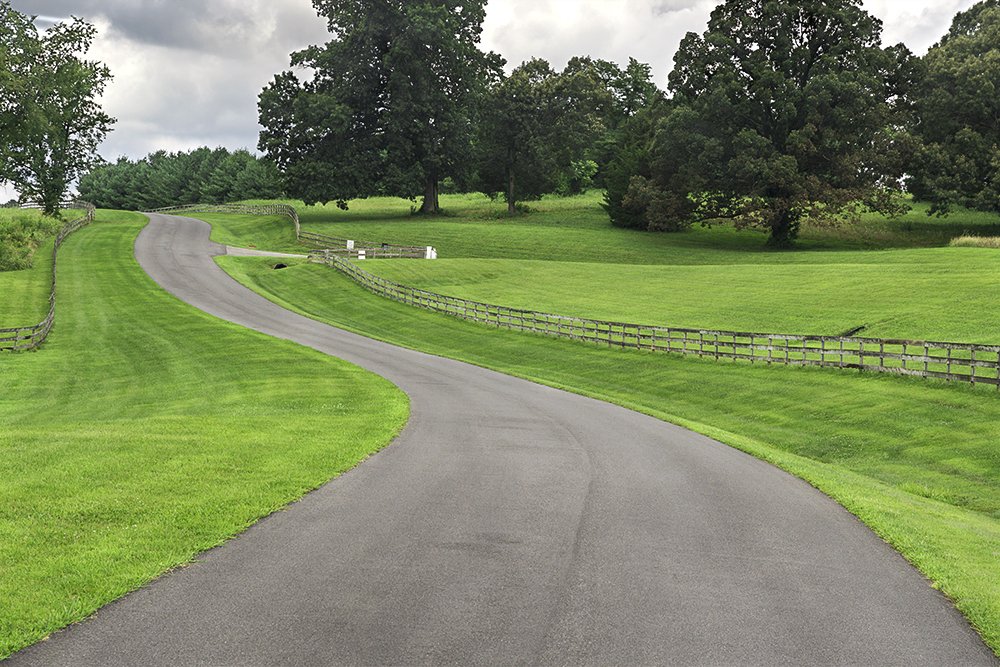 The Green Carpet Avenue