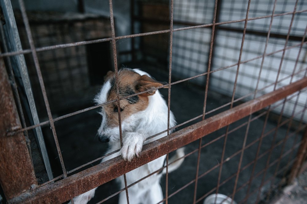 Photograph by Александр Бортников