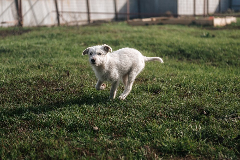 Photograph by Александр Бортников