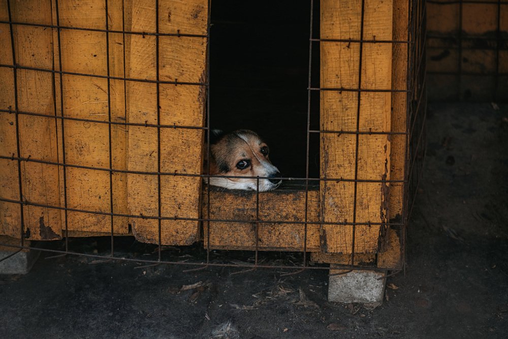 Photograph by Александр Бортников