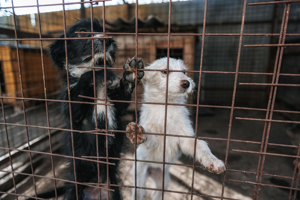 Photograph by Александр Бортников