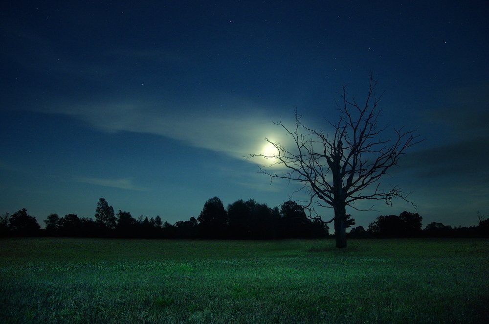 Photograph by Сергей Шляга