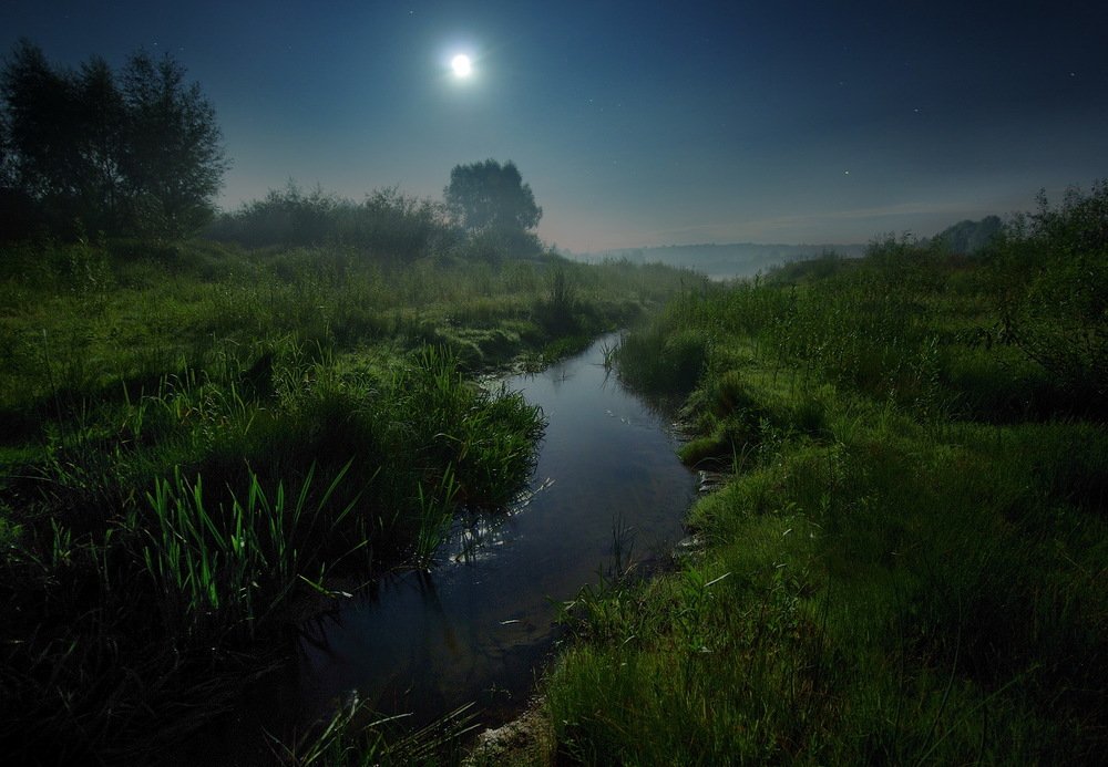 Photograph by Сергей Шляга