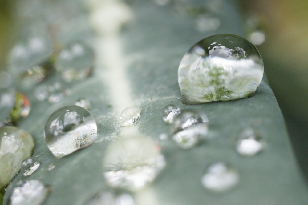 Photograph by Antony Trivet