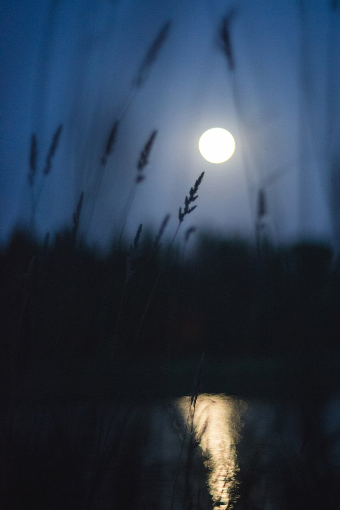 Фотография автора Юрий Коваленко