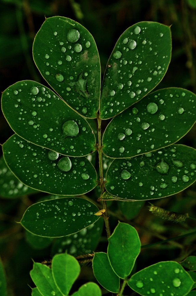 Photograph by Shubham Patil