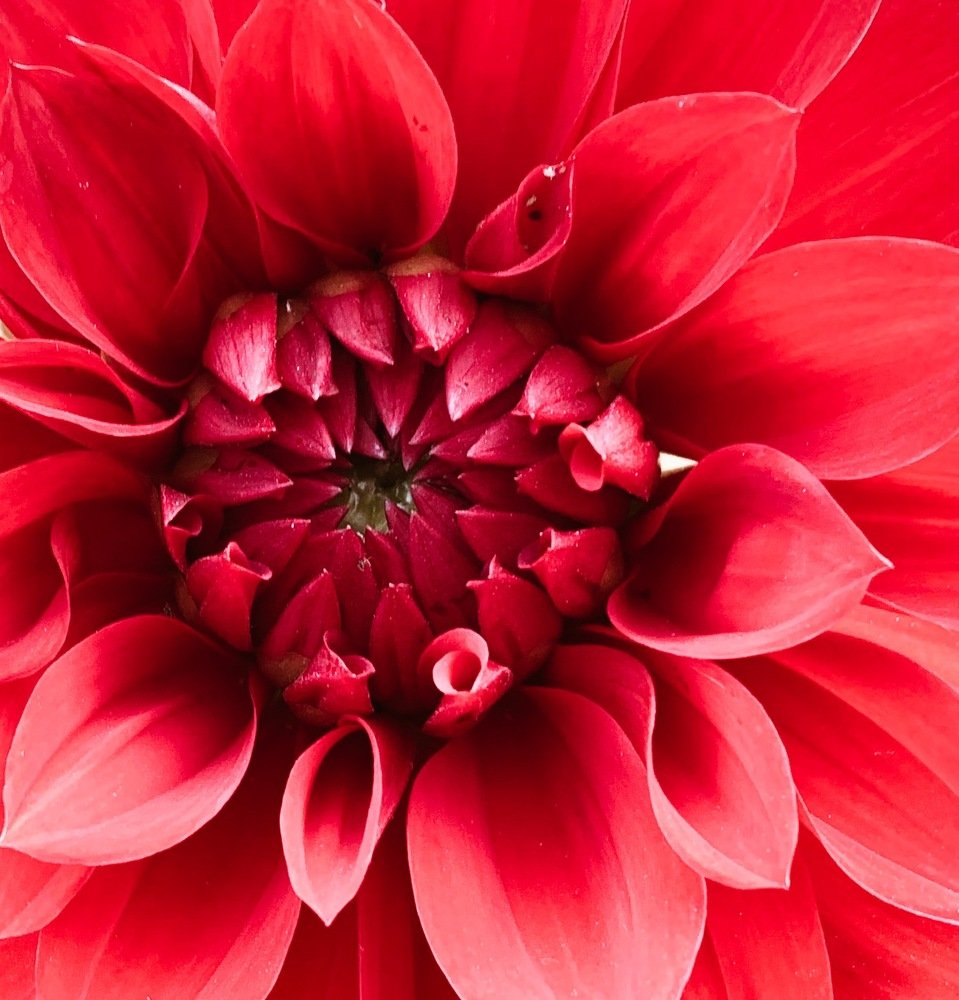 Photograph by Nyonika Rawal