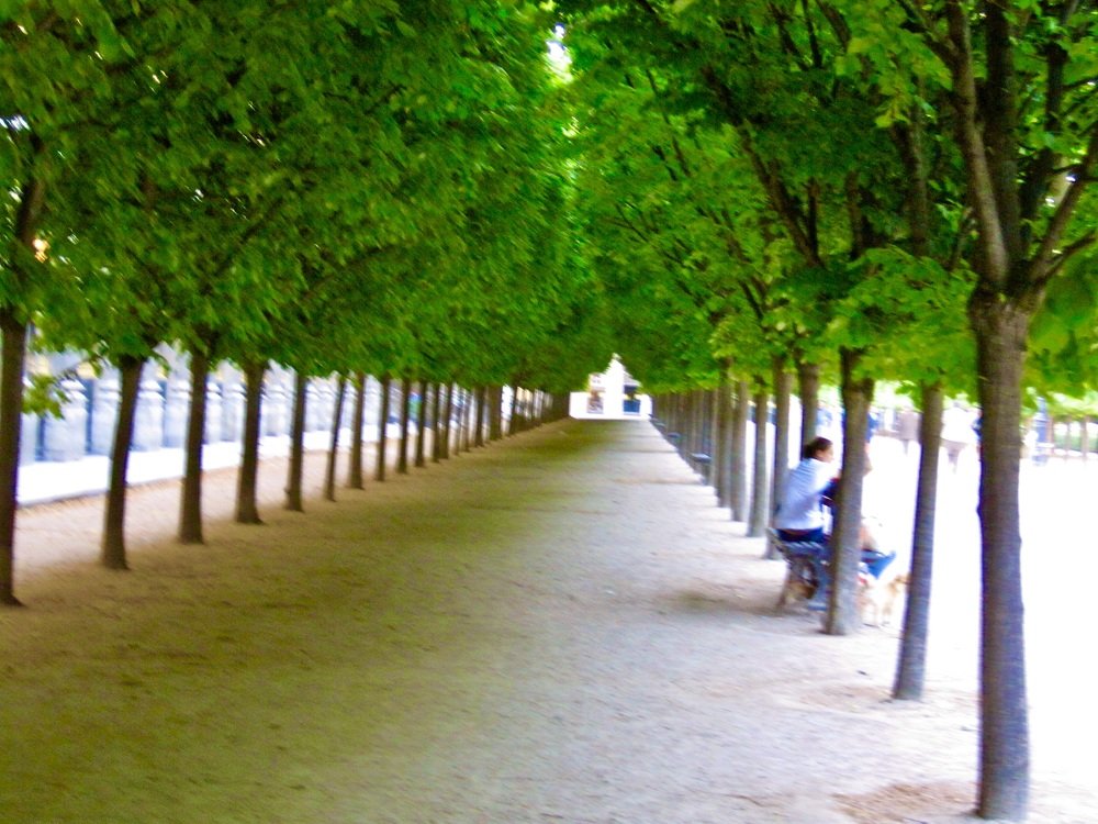 Photograph by Albert Russo