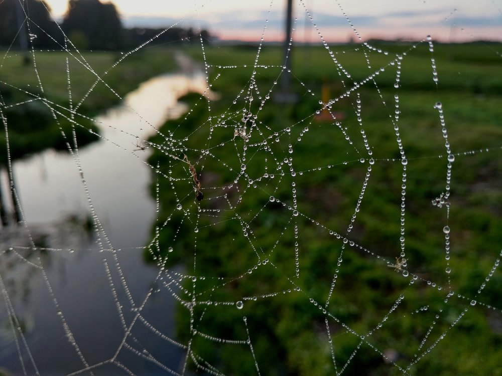 Photograph by Dzianis Mizhui