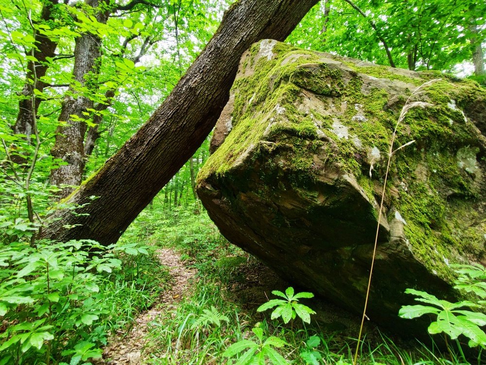 Photograph by Денис Пономарёв