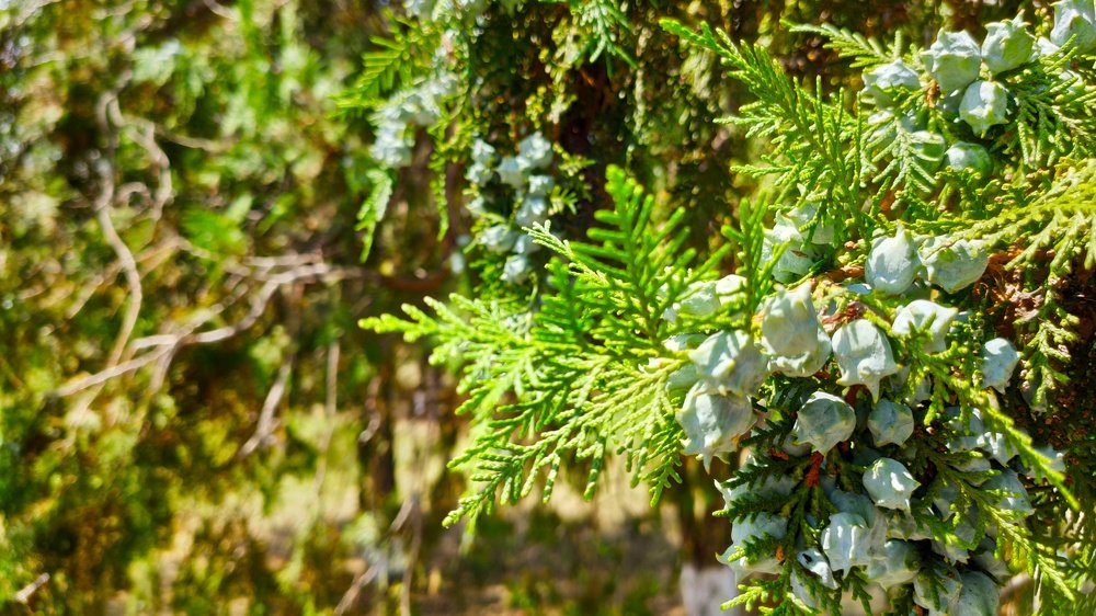 Photograph by Денис Пономарёв