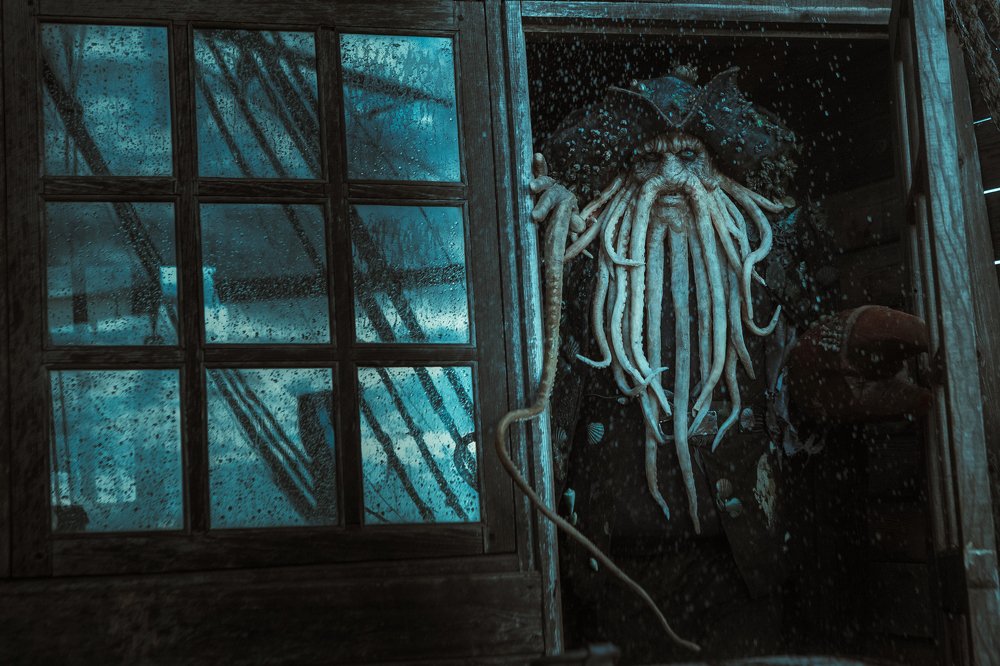 Пираты Карибского моря