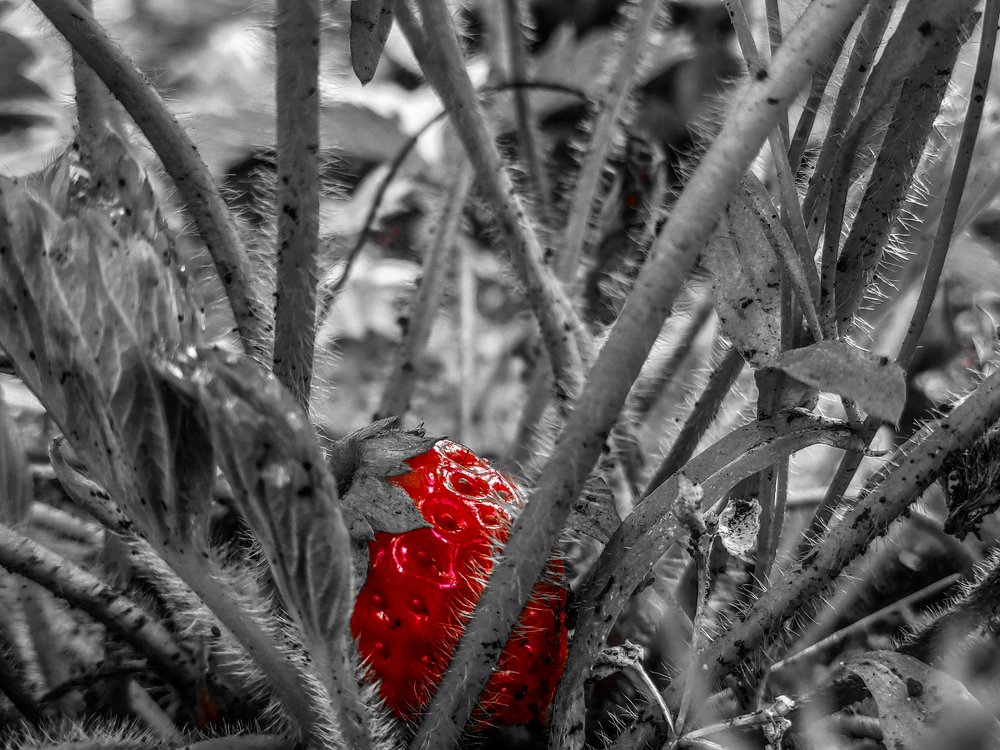 Photograph by Денис Пономарёв